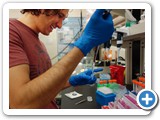 Grad student Emanuel Salazar tags HeLa cell membrane proteins with fluorescent markers (Lidke)