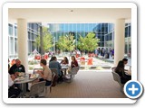 Lunch in the Courtyard