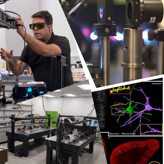 Visuals from the Chakraborty Lab